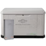 Briggs & Stratton 040782