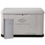 Briggs & Stratton 040803