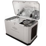 Briggs & Stratton 040803