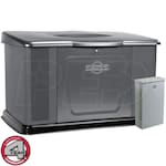 Briggs & Stratton 40368