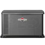 Briggs & Stratton 40396