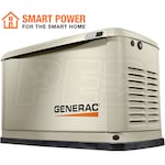Generac Guardian 7173