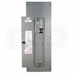 Reliance Controls 200-Amp 3-Phase Indoor Manual Transfer Panel