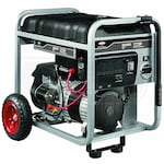 Briggs & Stratton 30358